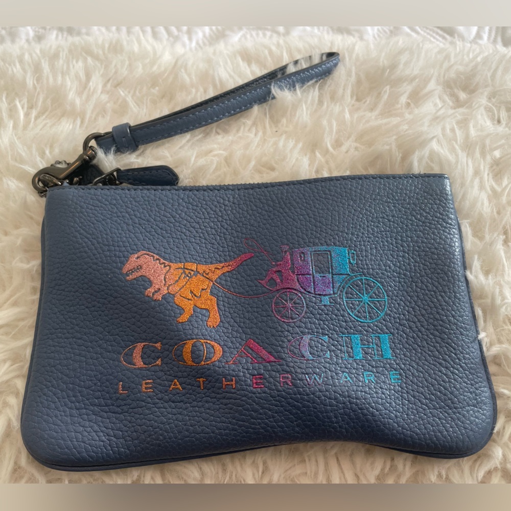 Coach pouch bag